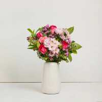 Read Bloomeroo Reviews